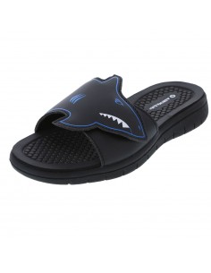 payless champion slides